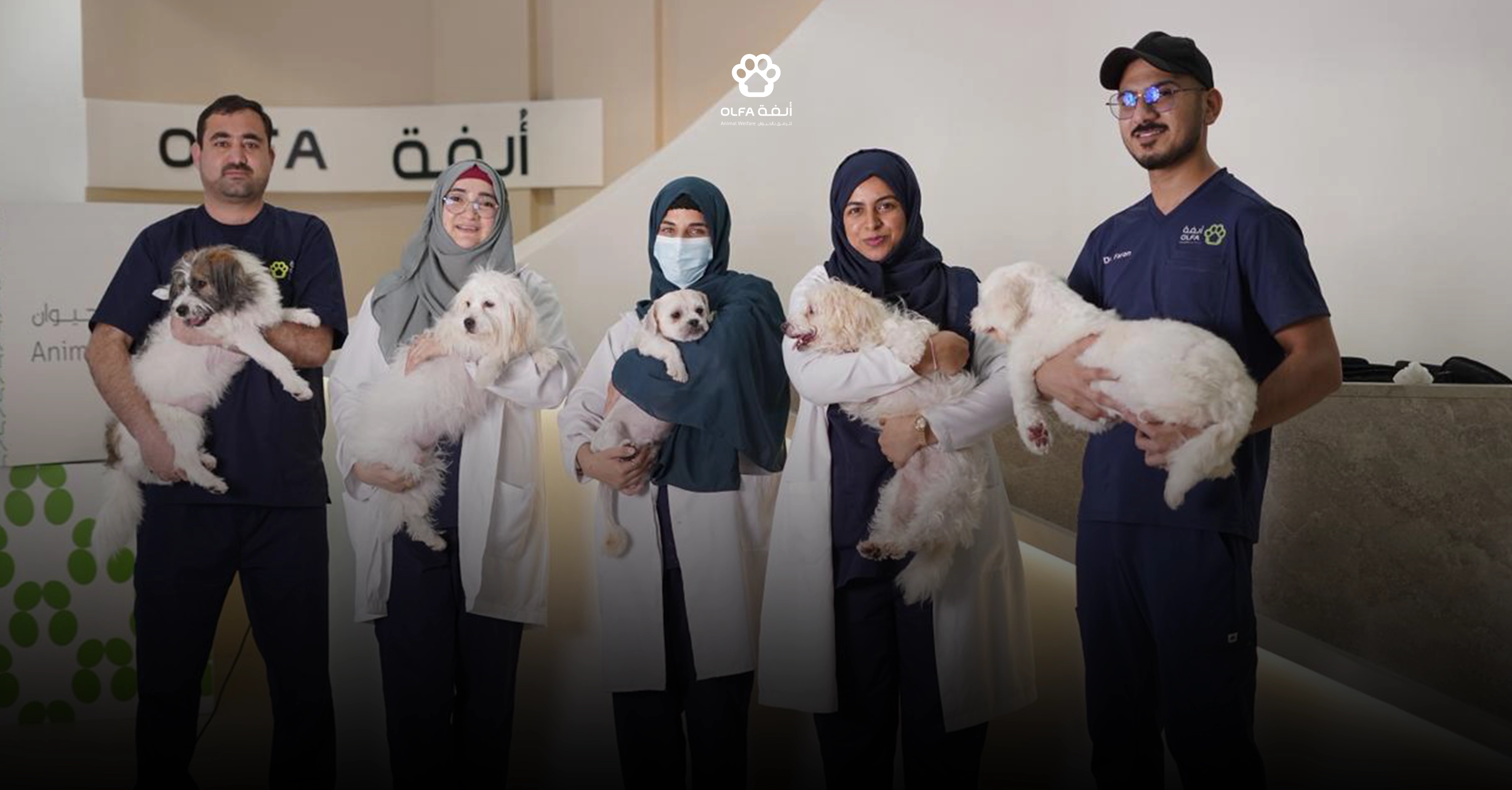 من يدير الرفق بالحيوان؟ الأدوار داخل منظمة حديثة
